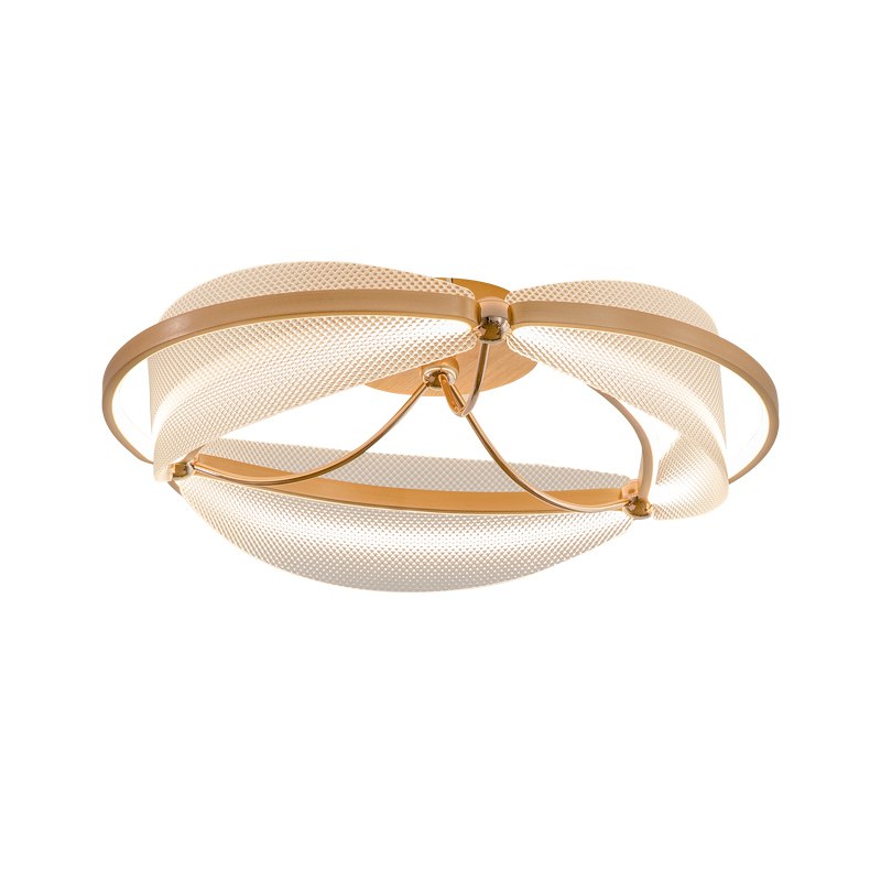 Modern Luminous Halo Ceiling Light