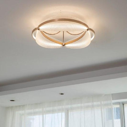 Modern Luminous Halo Ceiling Light